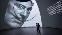 Dali Museum