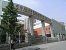 Fangcao International School Yuanyang Primary School