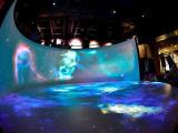 Gifu City science Museum