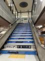 Kashiwa city Library