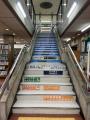 Kashiwa city Library